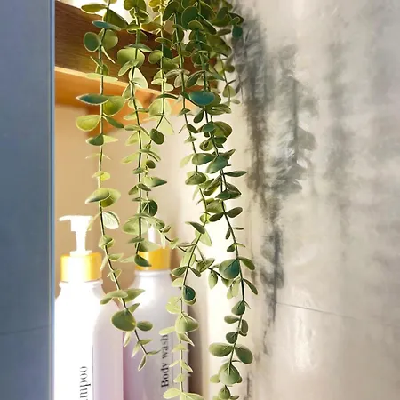 Apartamento Palmeras 81
