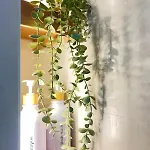 Апартаменти Palmeras 81