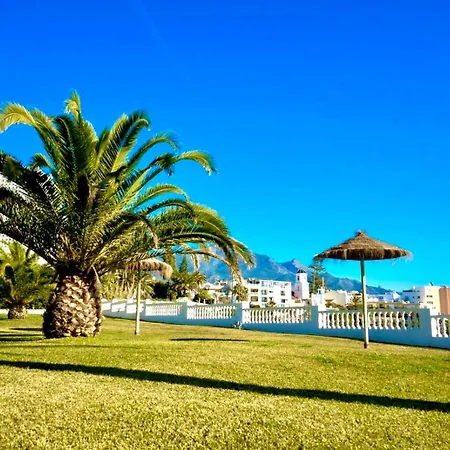 Palmeras 81 Апартаменты *