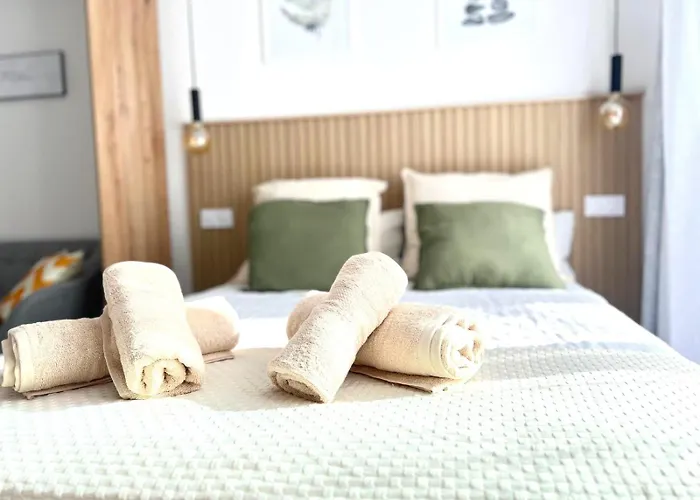 Palmeras 81 ネルハ