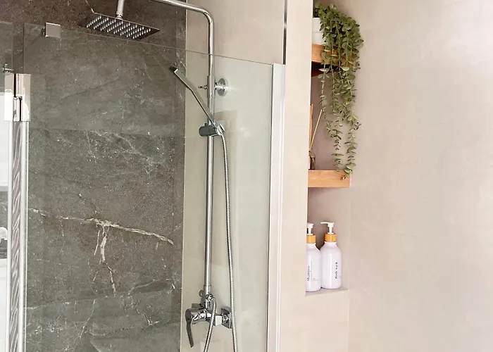 Palmeras 81 公寓 内尔哈